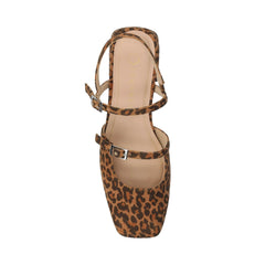 Leopard/Camel