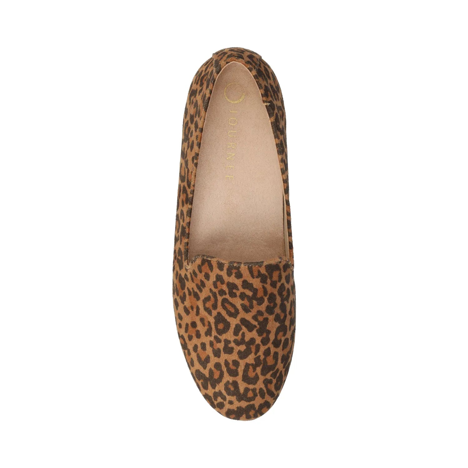 Leopard/Camel