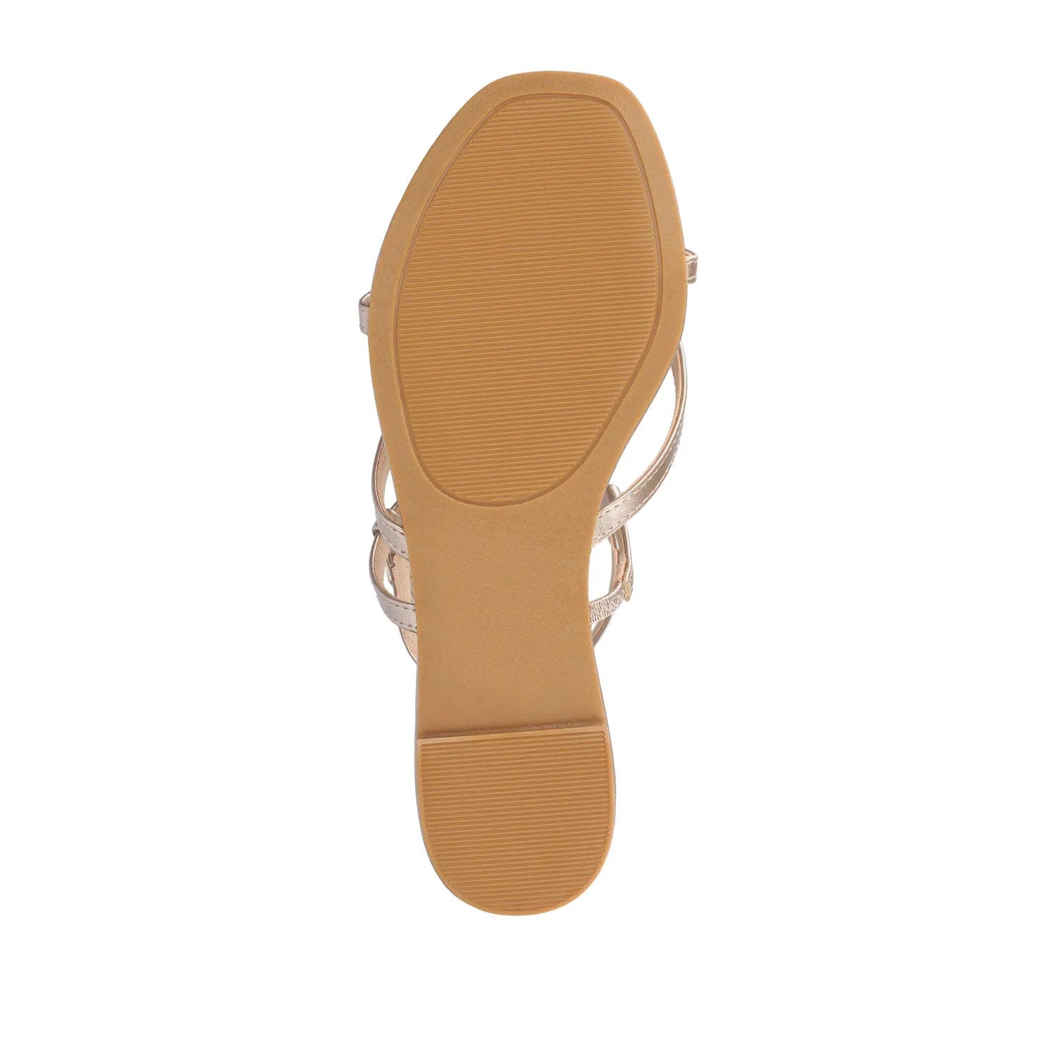 Serissa Crisscross Sandal in Vegan Leather - Champagne