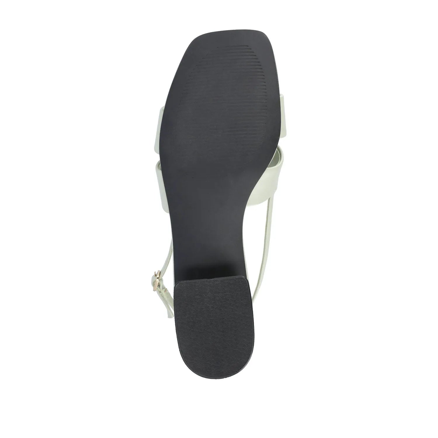 Sage