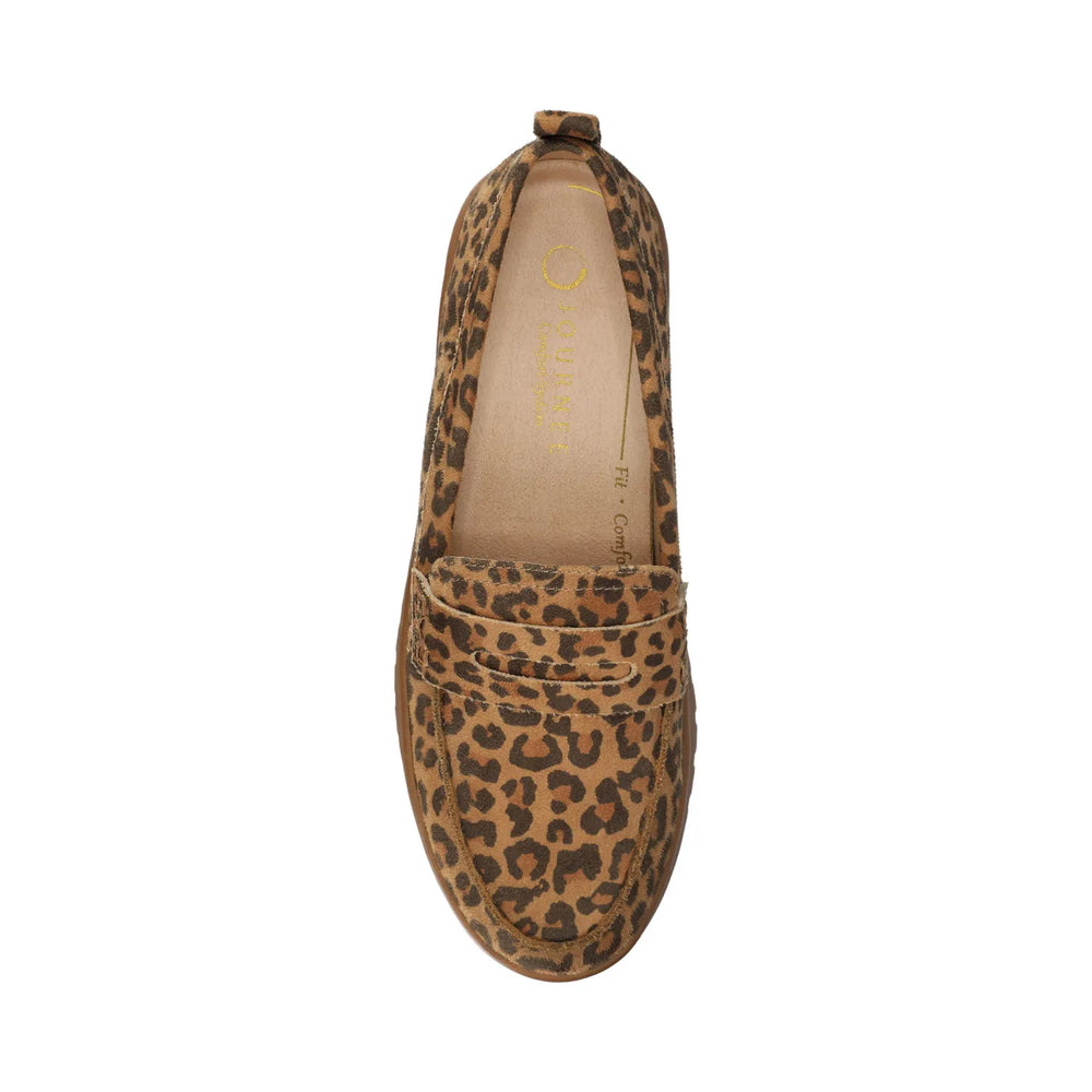 Leopard Camel